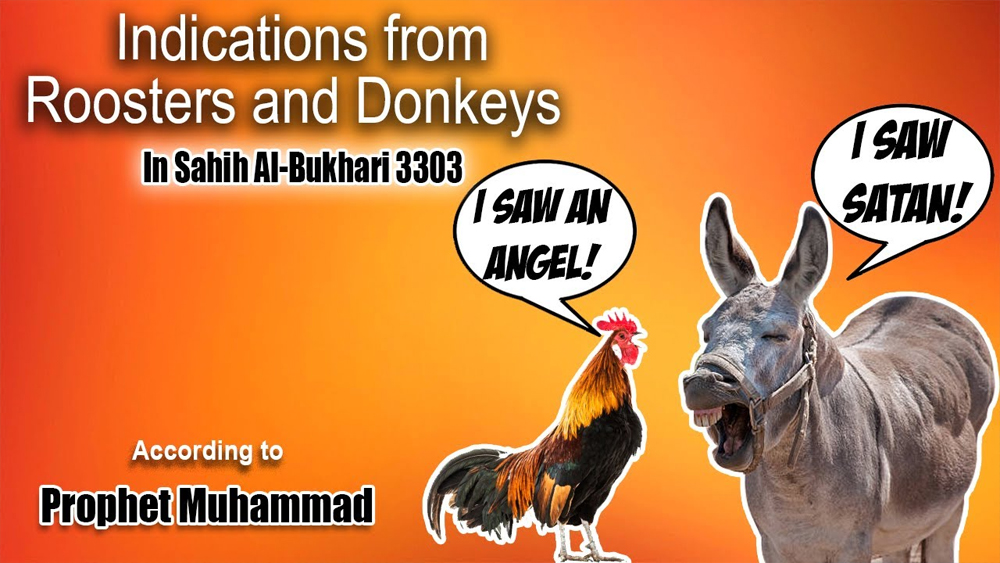 Indication from Roosters and Donkeys According to Prophet Muhammad /sahih al bukhari 3303